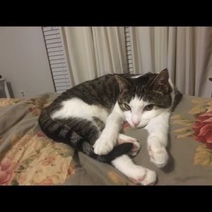 Meet your Posher, Dan